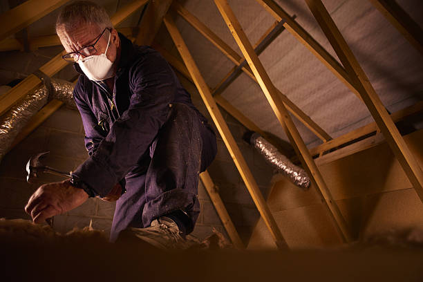 Best Best Insulation Companies  in Saddlebrooke, AZ